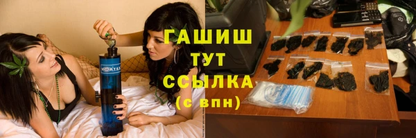 амф Щучье