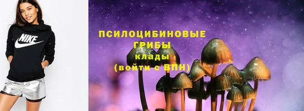 соль курить ск Ельня