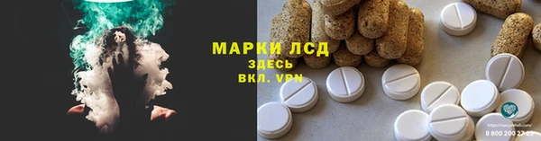 шишки Щигры