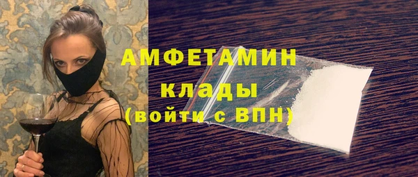амф Щучье