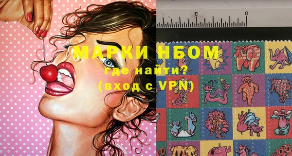 шишки Щигры