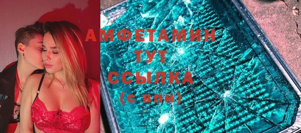 шишки Щигры